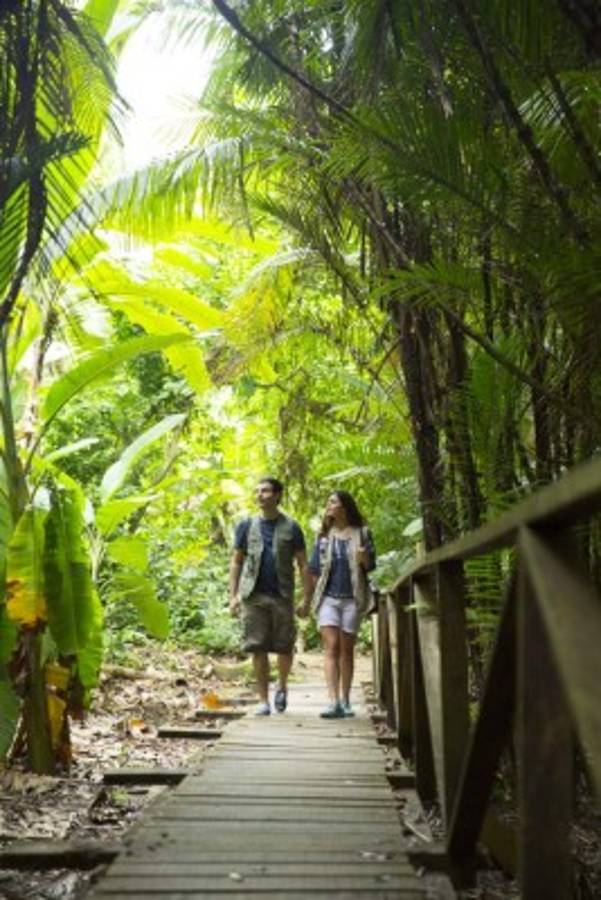 Tela, santuario ecológico de aventuras sin fin