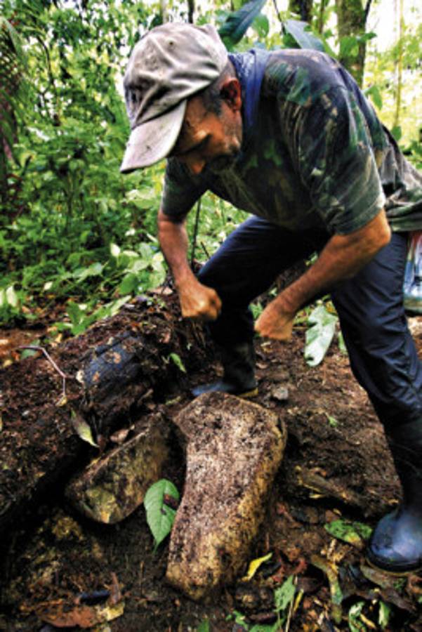 Emergen vestigios de Ciudad Blanca