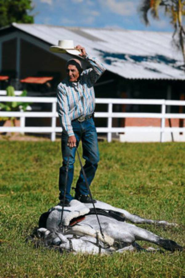 Los caballos tienen una escuela en Talanga