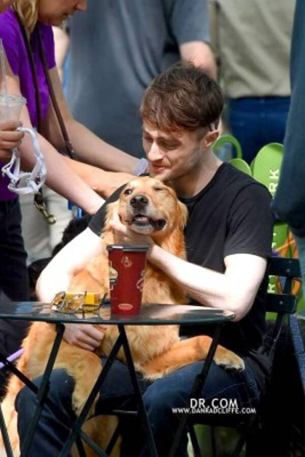Daniel Radcliffe el paseador de perros