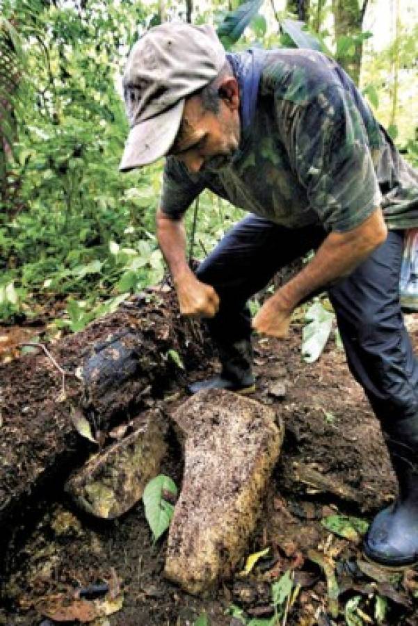 NatGeo confirma hallazgo de 'Ciudad Blanca'