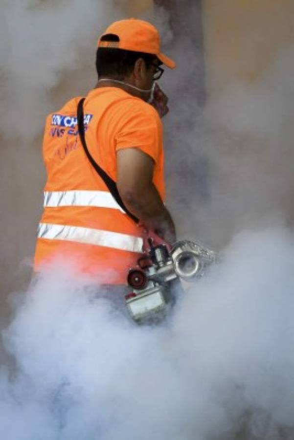 Un empleado del Comité de Contingencia Permanente (Copeco) fumiga durante una operación para combatir el Aedes aegypti, vector de la fiebre del dengue, en Tegucigalpa. Foto: Agencia AFP.