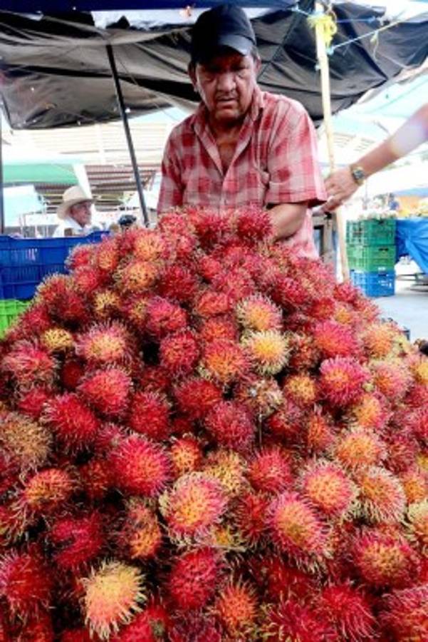 Un recorrido por la Feria del Agricultor y el Artesano