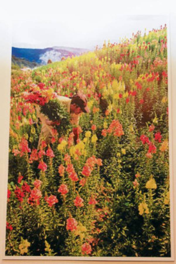 El parque La Tigra en 100 imágenes