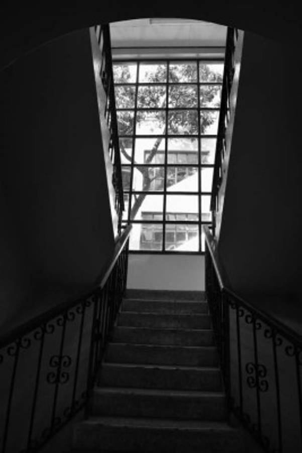 Bellas Artes: 80 años entre la gloria y el olvido