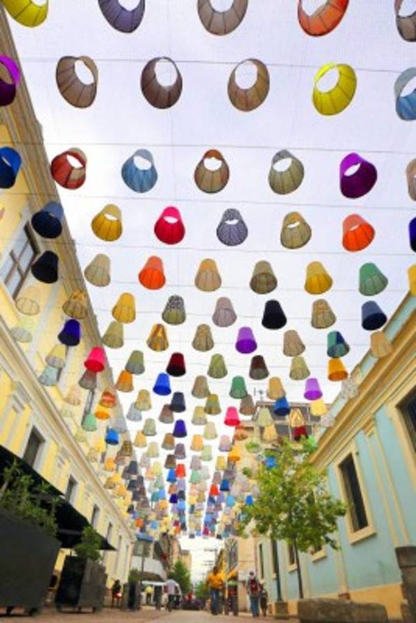 Explosión de colores en el Paseo Liquidámbar