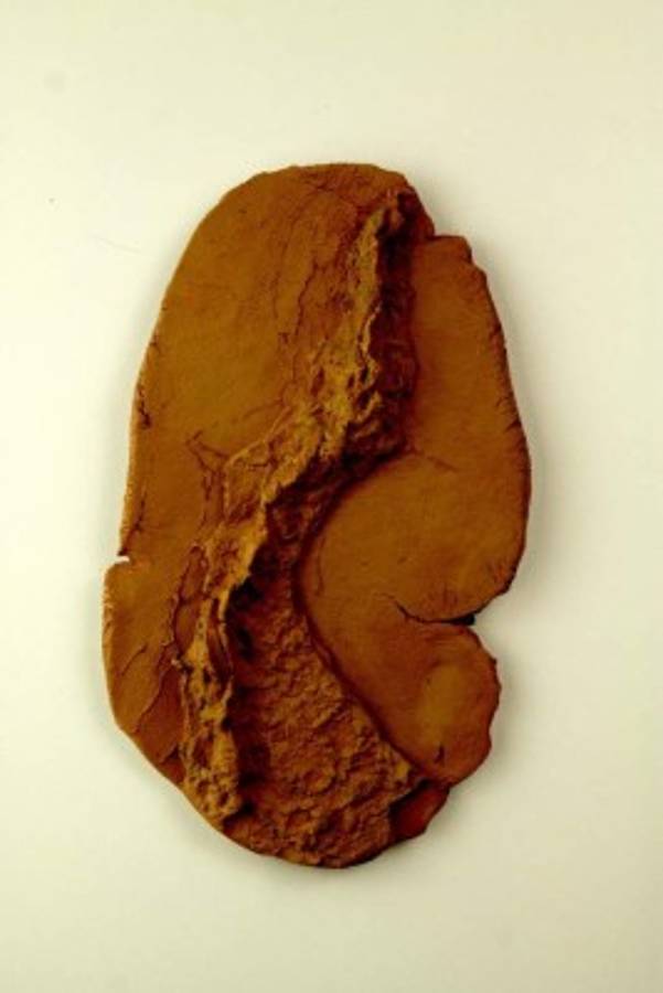 Medardo Cardona: La cartografía como memoria de la ciudad