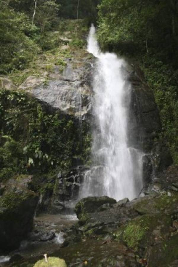 Las cascadas del río Negro son uno de los atractivos que los turistas visitan para bañar y pasar un momento bajo la brisa del agua.