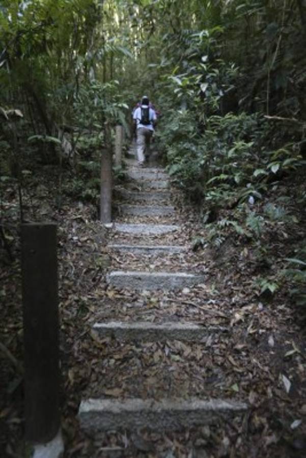 La Tigra, murmullo de la madre naturaleza