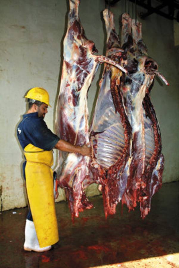 Concesionan administración del rastro municipal