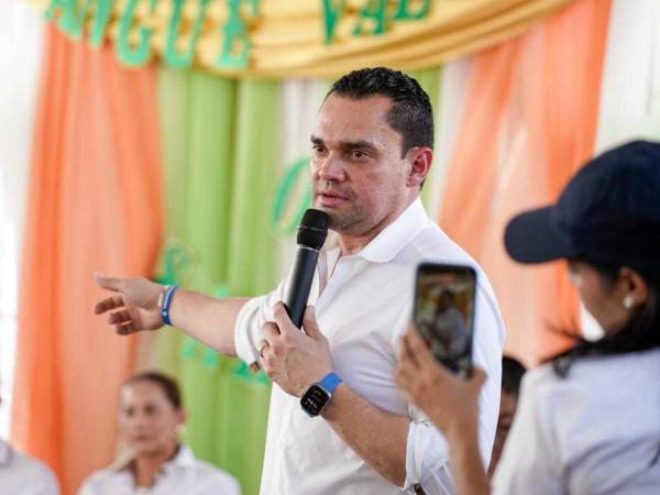 La propuesta de reforma electoral fue presentada en el pleno del Congreso Nacional por el presidente Tomás Zambrano.
