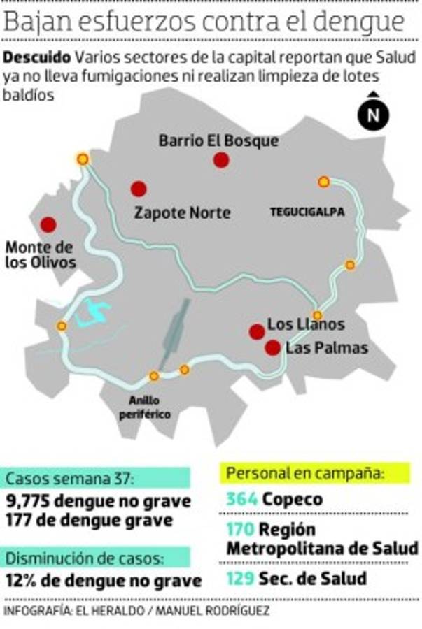 Intervenciones contra el dengue se desarrollan a medio vapor