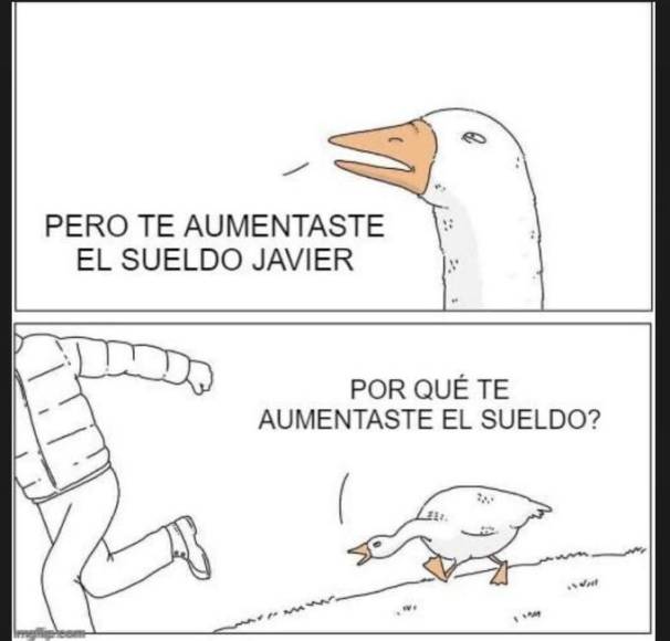 Javier Milei se subió el salario y los argentinos lo atacan con memes