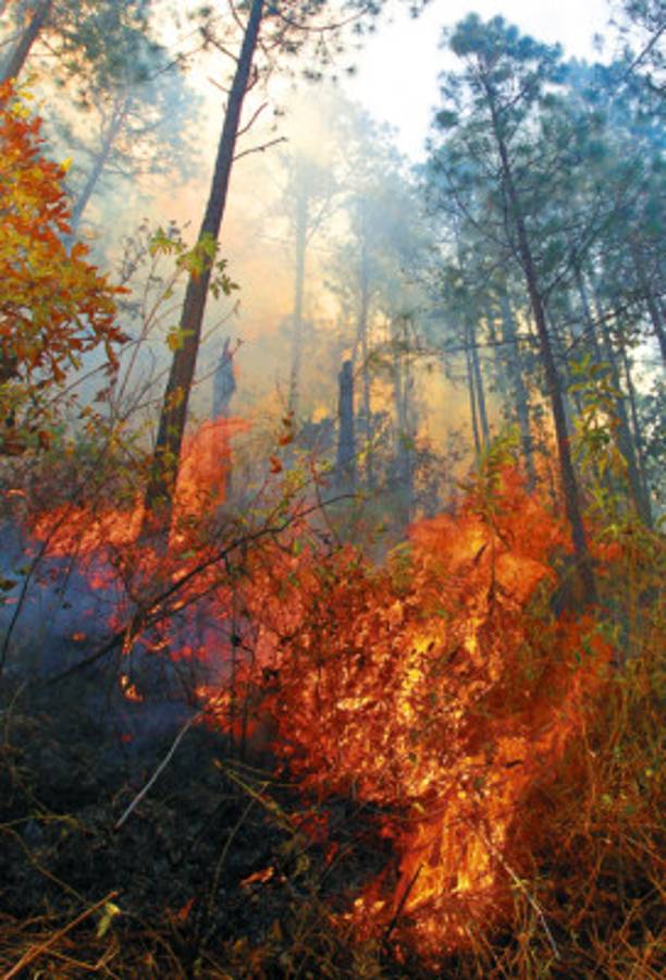Barrio El Centro y la Kennedy, los sectores más contaminados