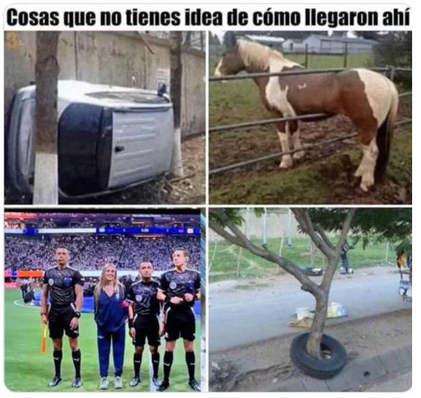 Los mejores memes que dejó el Argentina contra Canadá en inicio de Copa América