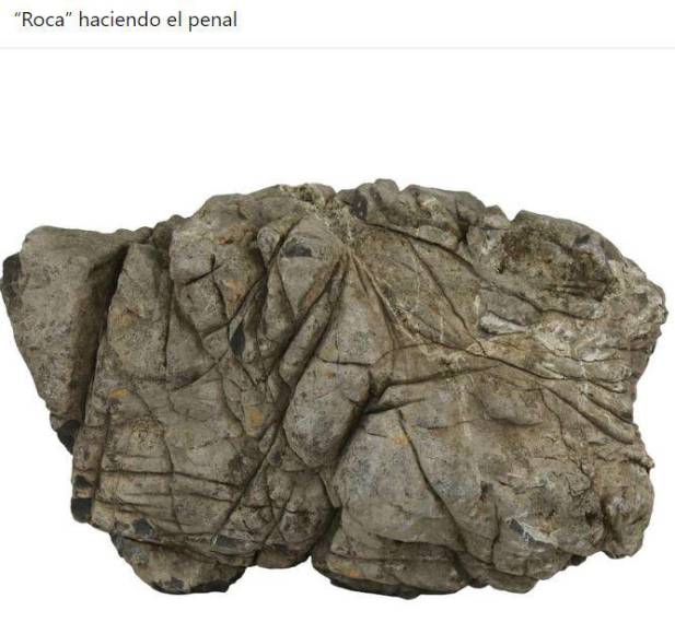 Divertidos memes destrozan al Real España por perder la gran final ante Motagua