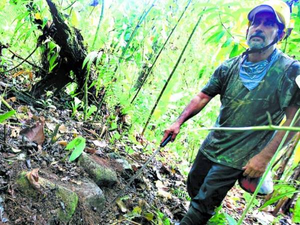 El equipo de EL HERALDO se internó en la selva para dar con algunos vestigios de Ciudad Blanca, descubierta por el cartógrafo Francisco Macoto Cruz.