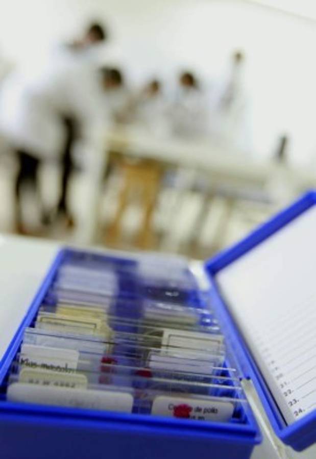 Tejidos microscópicos que prepara la UNAH serán usados por alumnos de media