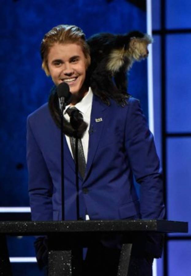 Dramas de los famosos y sus mascotas