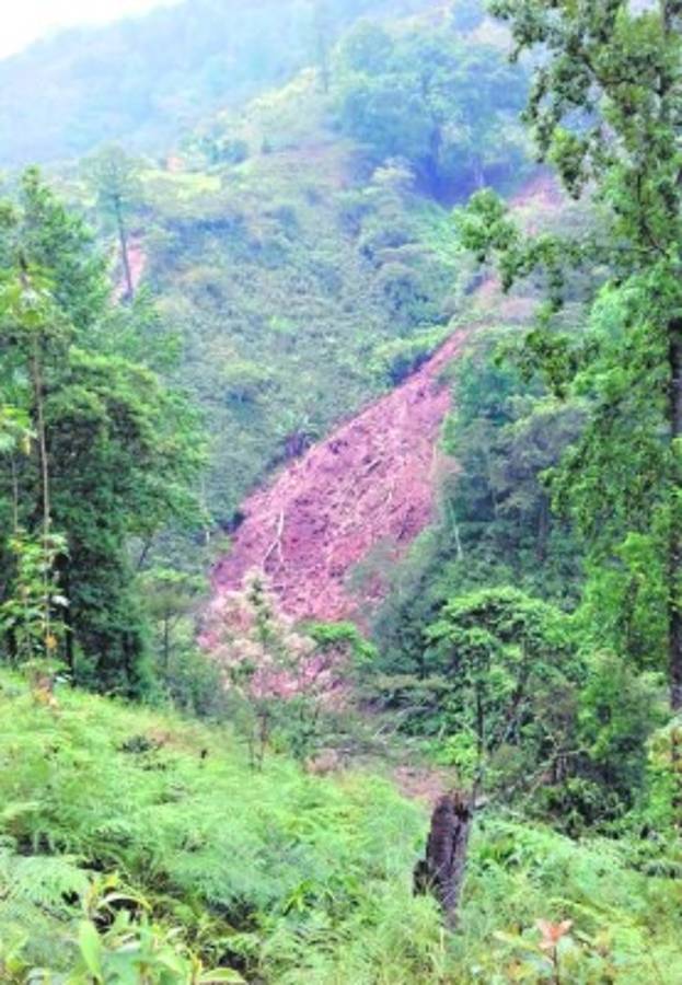 Honduras: A cuentagotas llegará agua en 37 barrios de Comayagua