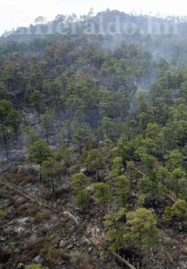 Los daños provocados por incendio en El Hatillo