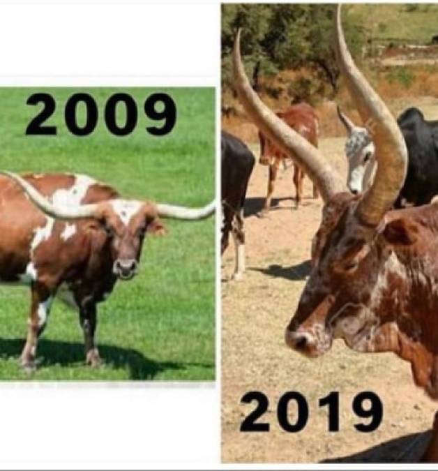 VIRAL: Los mejores memes del 10 years challenge