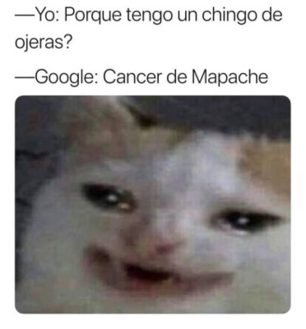 Divertidos memes: Esto pasa cuando le haces una consulta médica a Google