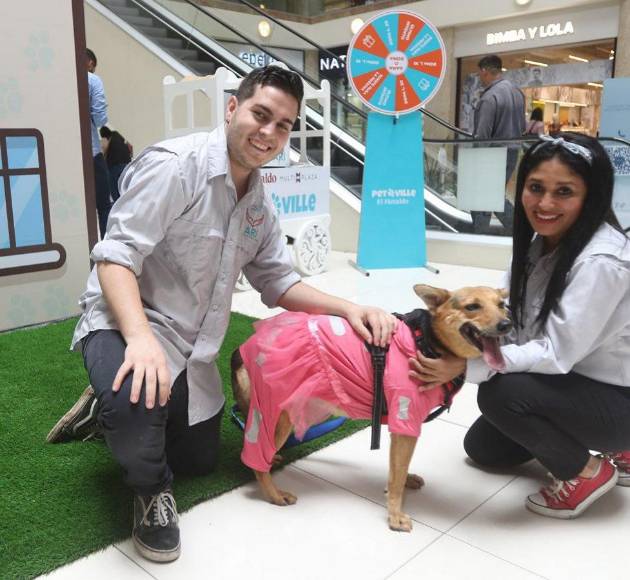 ¡Adorables! Los “puppies” más tiernos de la pasarela de Pet Ville