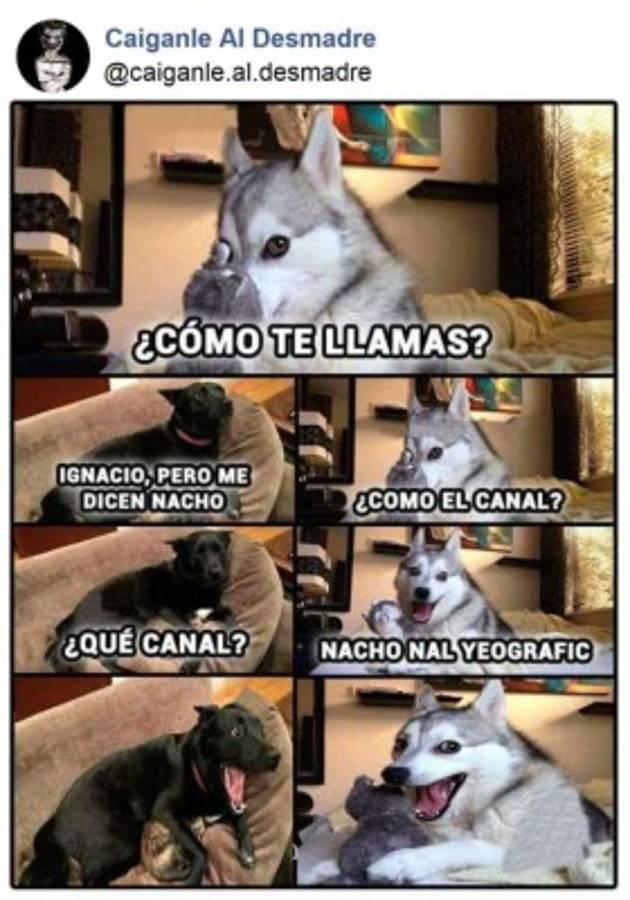 ¡A reír! Disfruta los mejores catrachistes de la semana