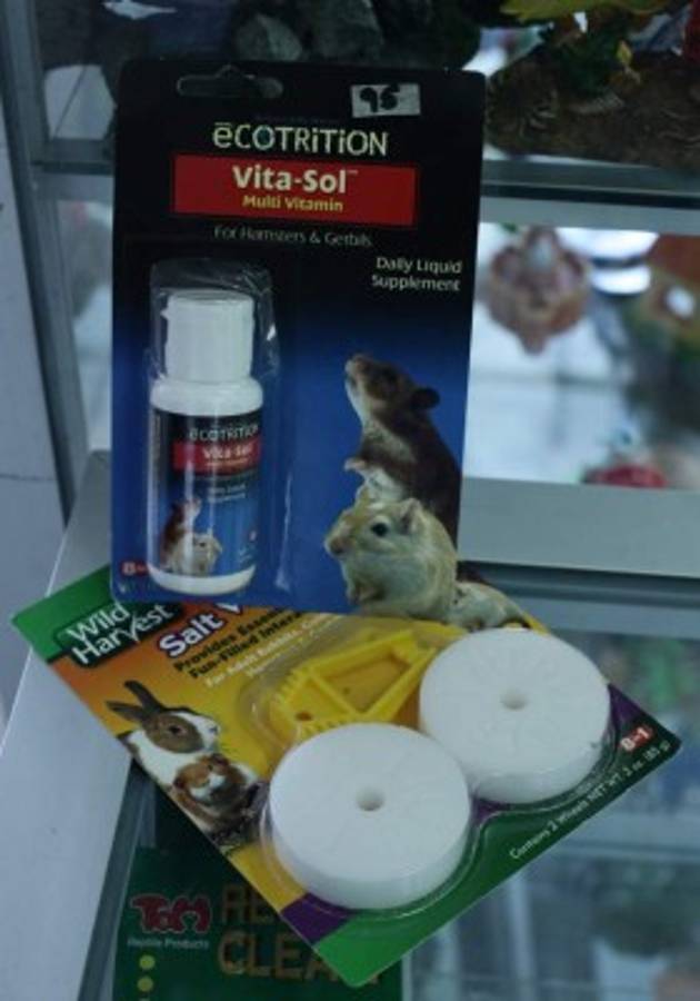 Lo que debe saber de los conejos