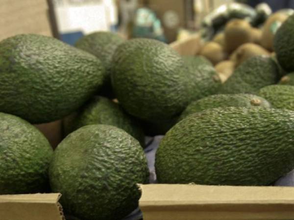 Los aguacates no sólo aumentan la absorción de antioxidantes de otros alimentos, sino que también son ricos en antioxidantes por sí mismos. Foto Canva.