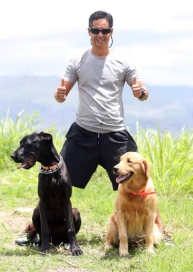 Consejos para entrenar a su perro en casa