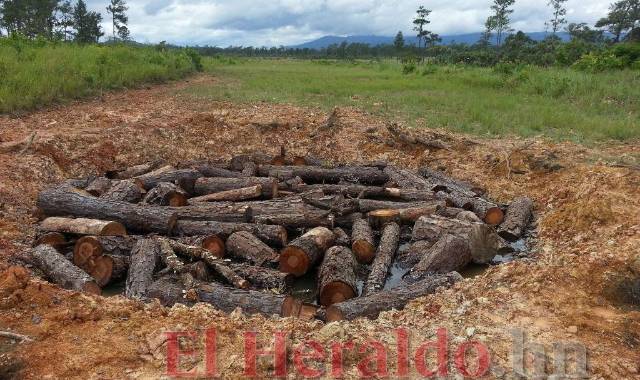 Desde el año 2014, y a un enorme costo económico para el Estado, en Gracias a Dios se ha montado todo tipo de escudos, pero la fuga de información vuelve los operativos muy vulnerables.