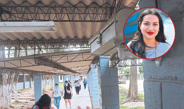 De acuerdo a Medina son cuatro los factores que vinculan a las mujeres con las estructuras criminales.