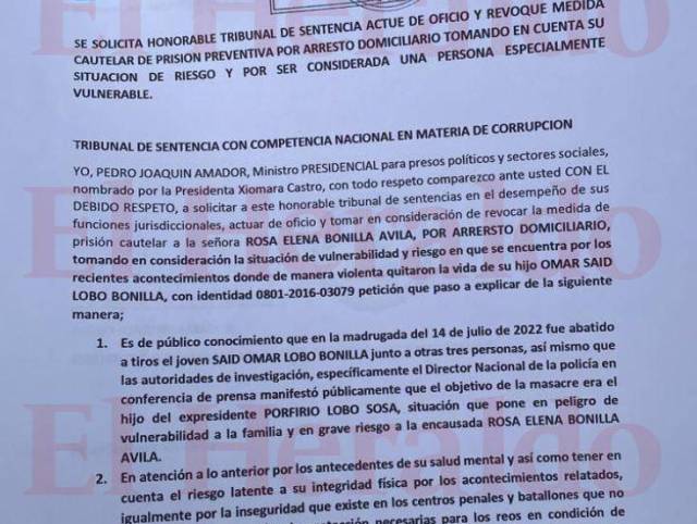 Parte de la solicitud realizada por el ministro para presos políticos Pedro Amador.
