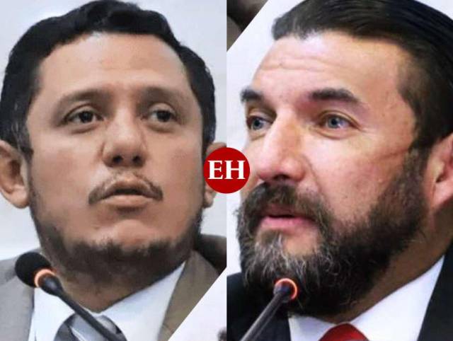 Edgardo Casaña y Rasel Tomé violan la Ley Orgánica del Congreso Nacional