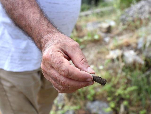 El arqueólogo Skender Mucaj muestra una concha que encontró en un agujero excavado por cazadores.