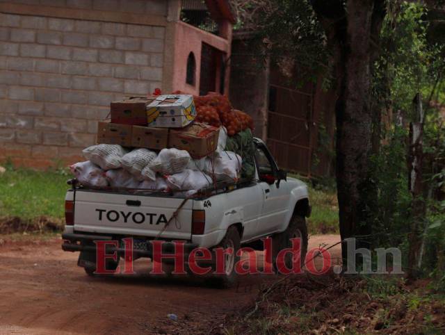 A diario salen decenas de vehículos cargados con productos del campo; se repararán las calles.