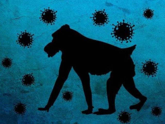 La OMS investiga si rapidez de propagación de viruela del mono se debe a mutaciones
