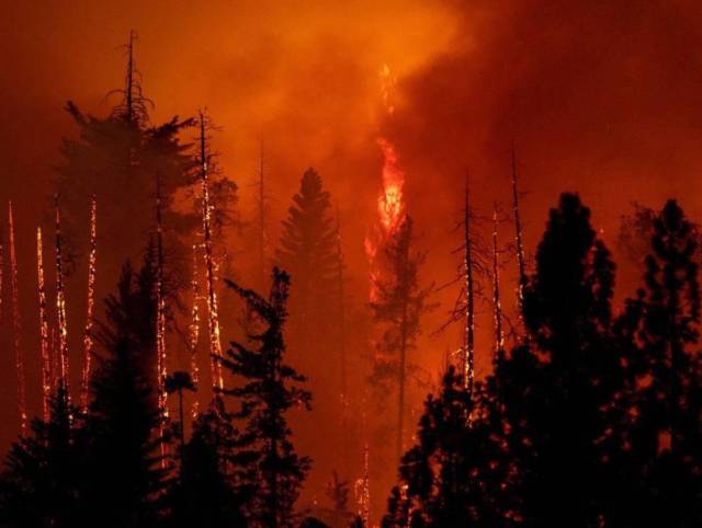 Cuatro muertos deja el mayor incendio forestal de California