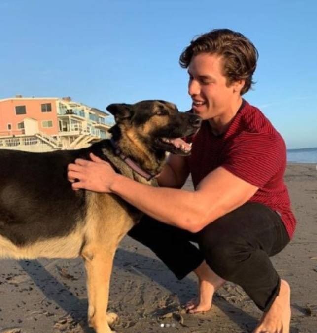 FOTOS: Joseph Baena, el hijo fisicoculturista de Arnold Schwarzenegger