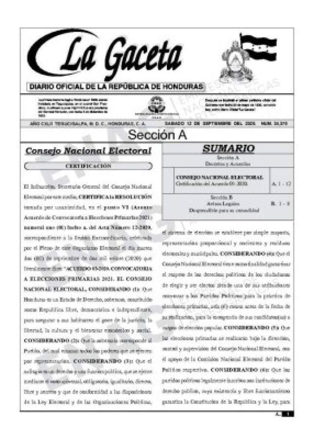 Convocatoria a elecciones primarias en La Gaceta  