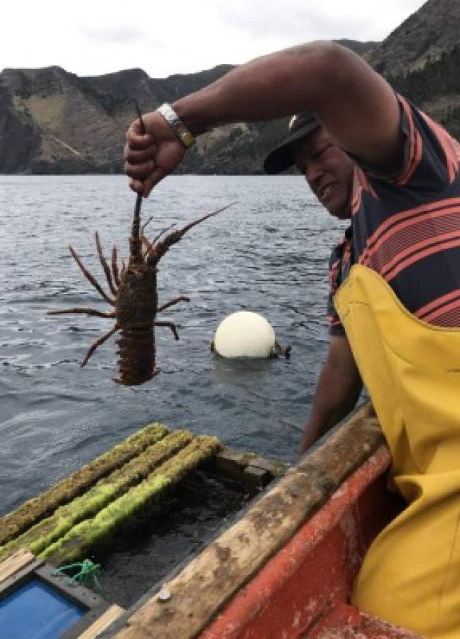 Un futuro que pasa por la conservación