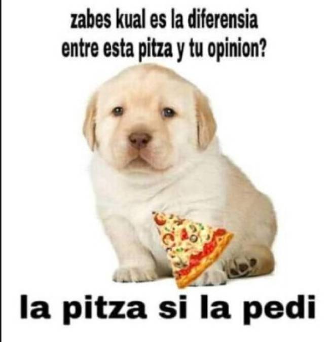 Los divertidos memes del perrito que han causado furor en Facebook