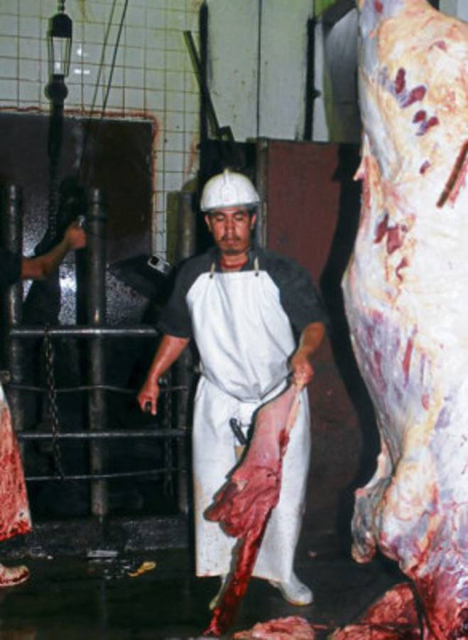 En condiciones insalubres funciona rastro de Danlí