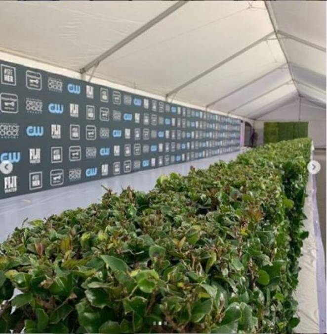 Datos curiosos de los Critics' Choice Awards 2020