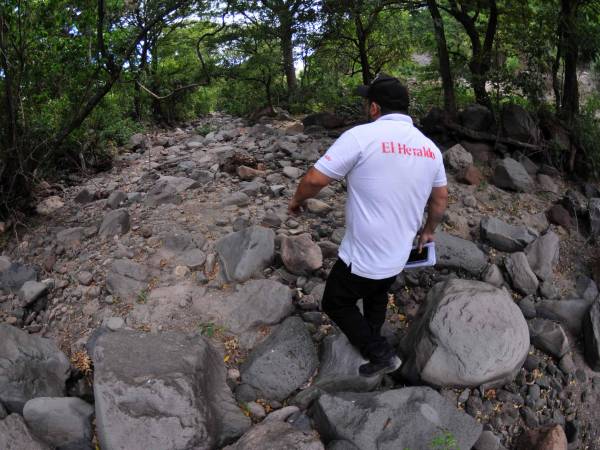 Foto: Alex Pérez / EL HERALDO