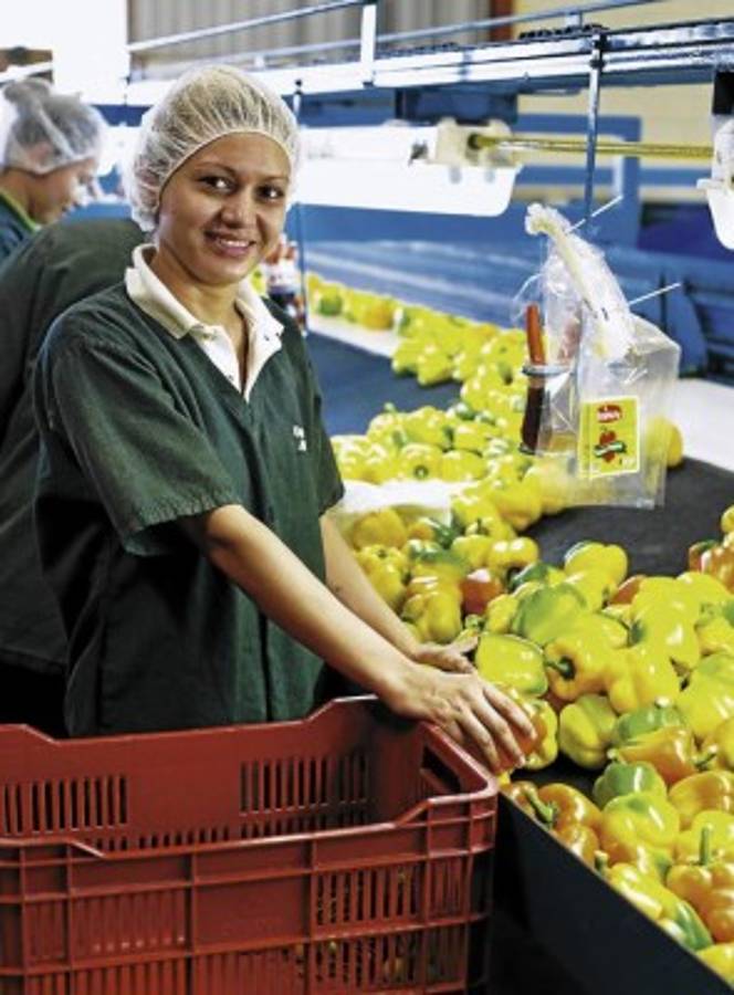 Corporación Dinant invertirá L 500 millones