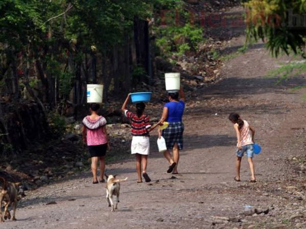 Las familias del Corredor Seco enfrentan una incertidumbre alimentaria, según el PMA y la FAO.