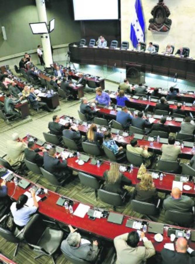 Plantean reformar Carta Magna para elegir diputados